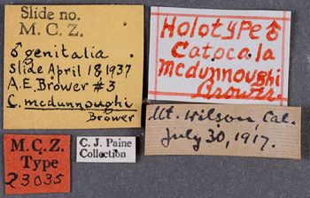 Media type: image;   Entomology 23035 Aspect: labels